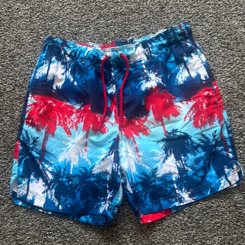 Men's Americana/4th of July Swimsuit- S